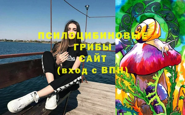 марки lsd Алексин
