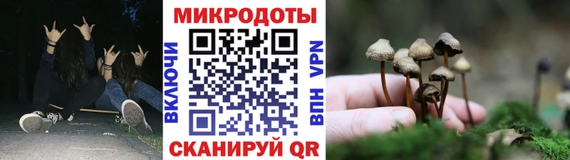 Галлюциногенные грибы MAGIC MUSHROOMS  где можно купить   кракен онион  Изобильный 